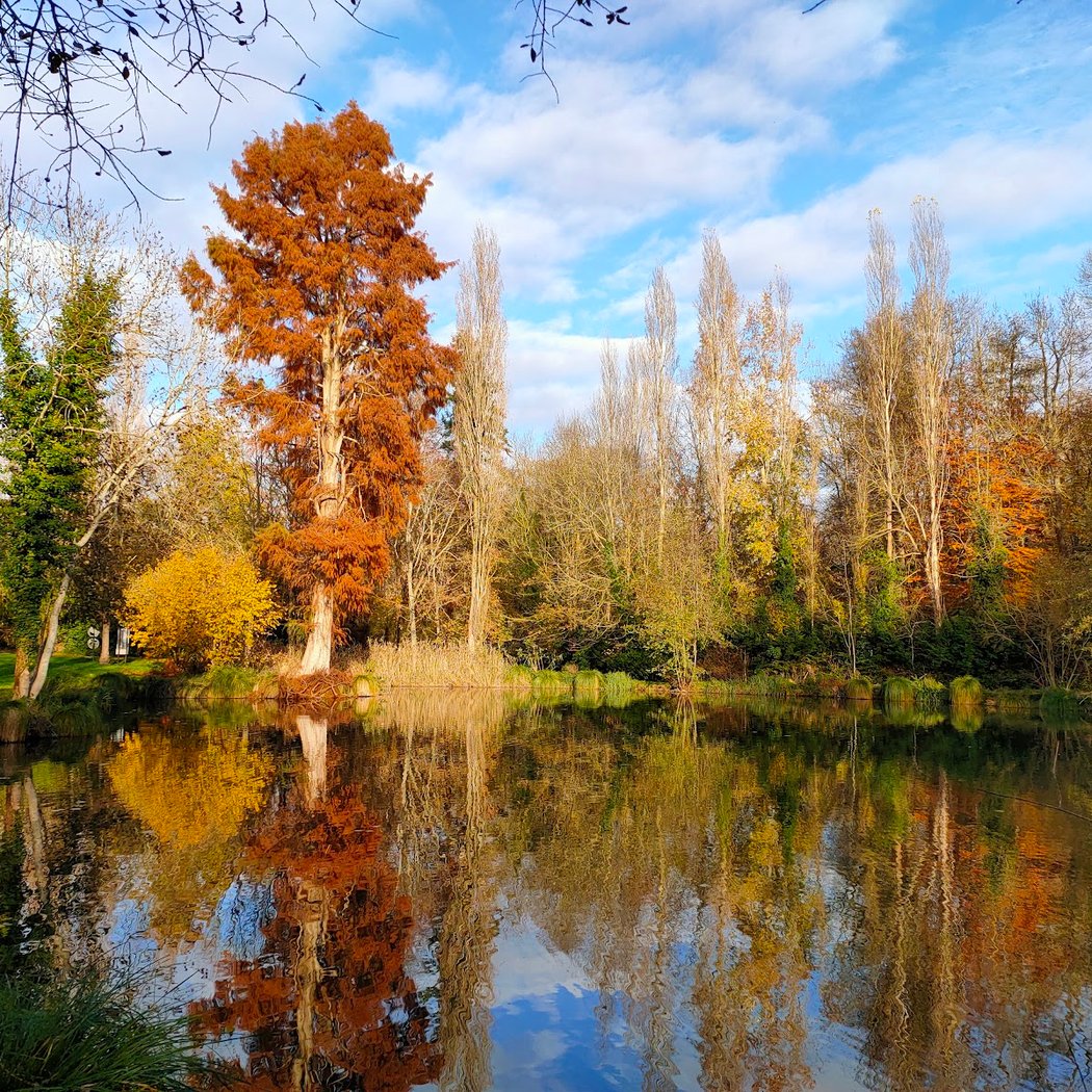 Parc de l'Aleu 1